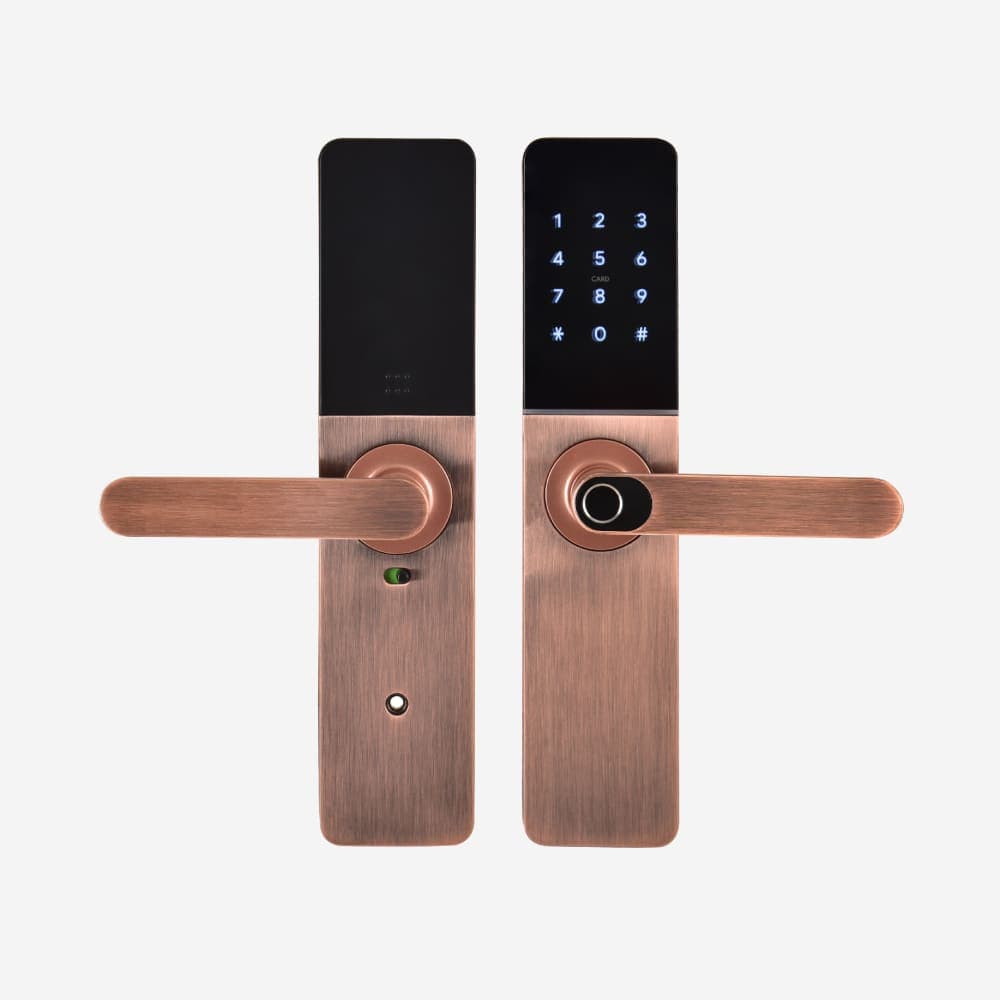 Dorset Mortise Digital door lock (DG102) Copper