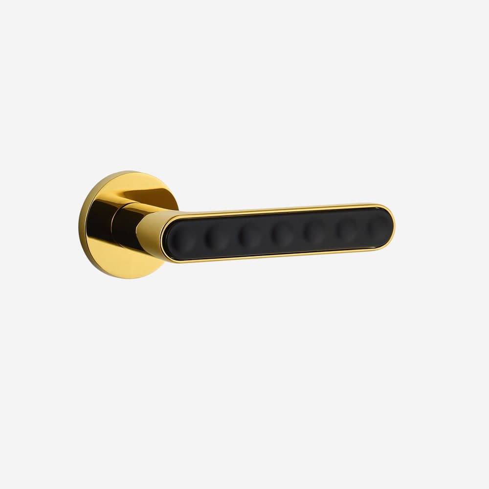 Dorset Door handle Full gold + Graphite Matt
