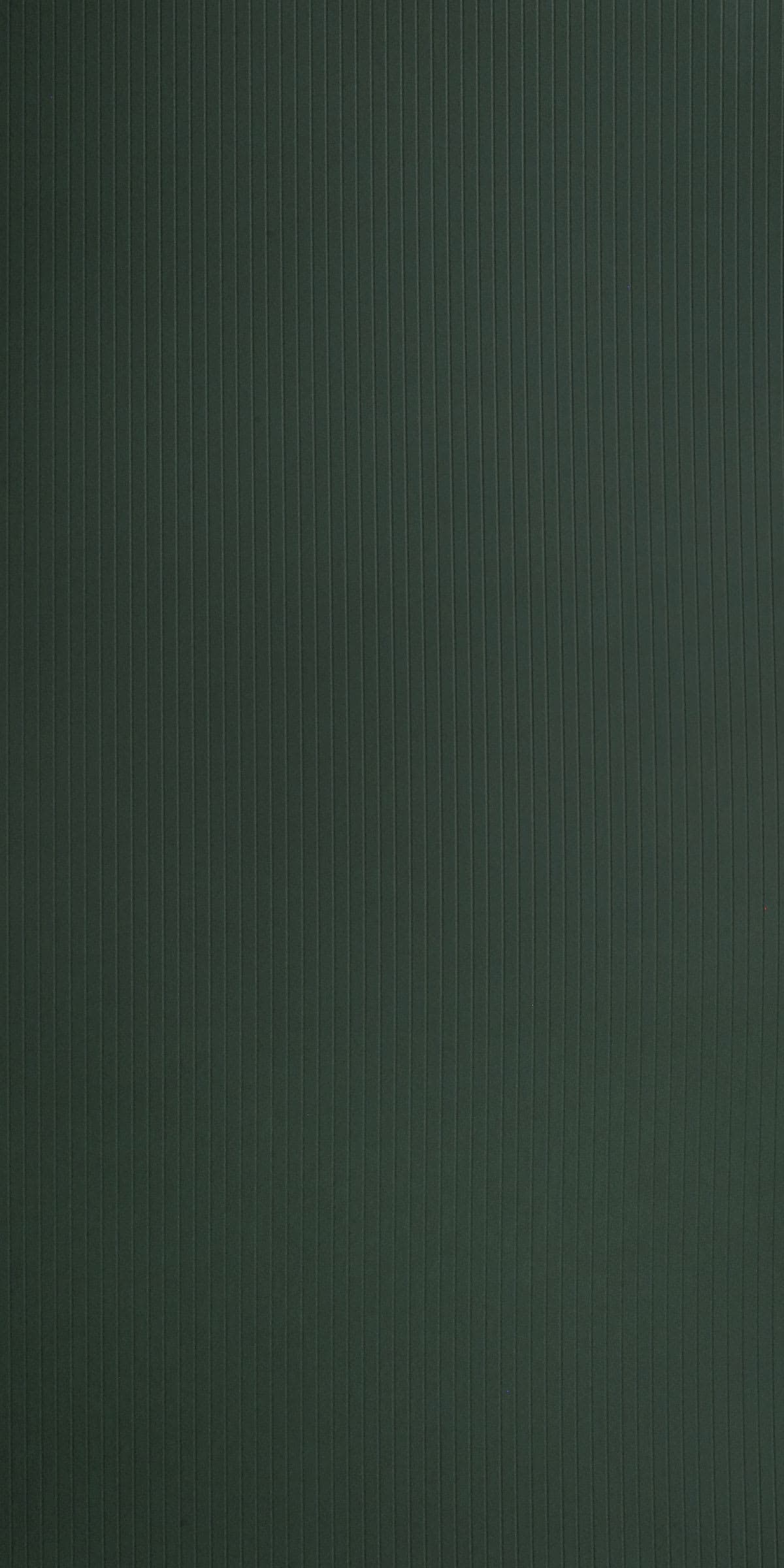 31005 Lara ( Evening Green )