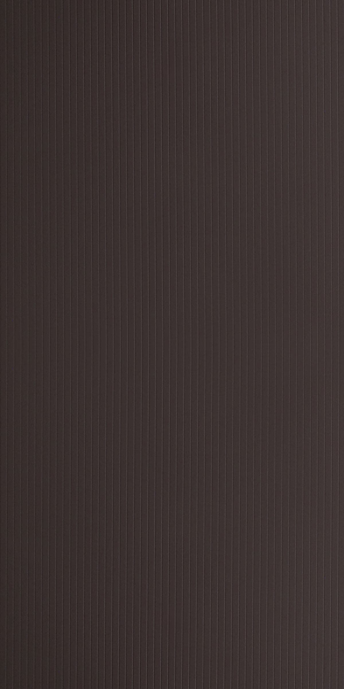 31021 Lara (Brown Hint )