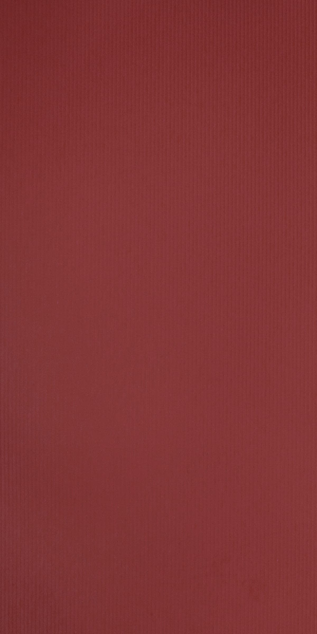 31018 Altos ( Apricot)