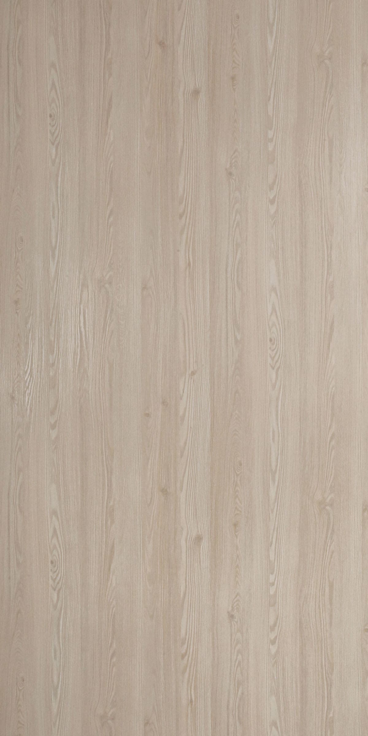 31221 Emboss (Millennium Larice Light)