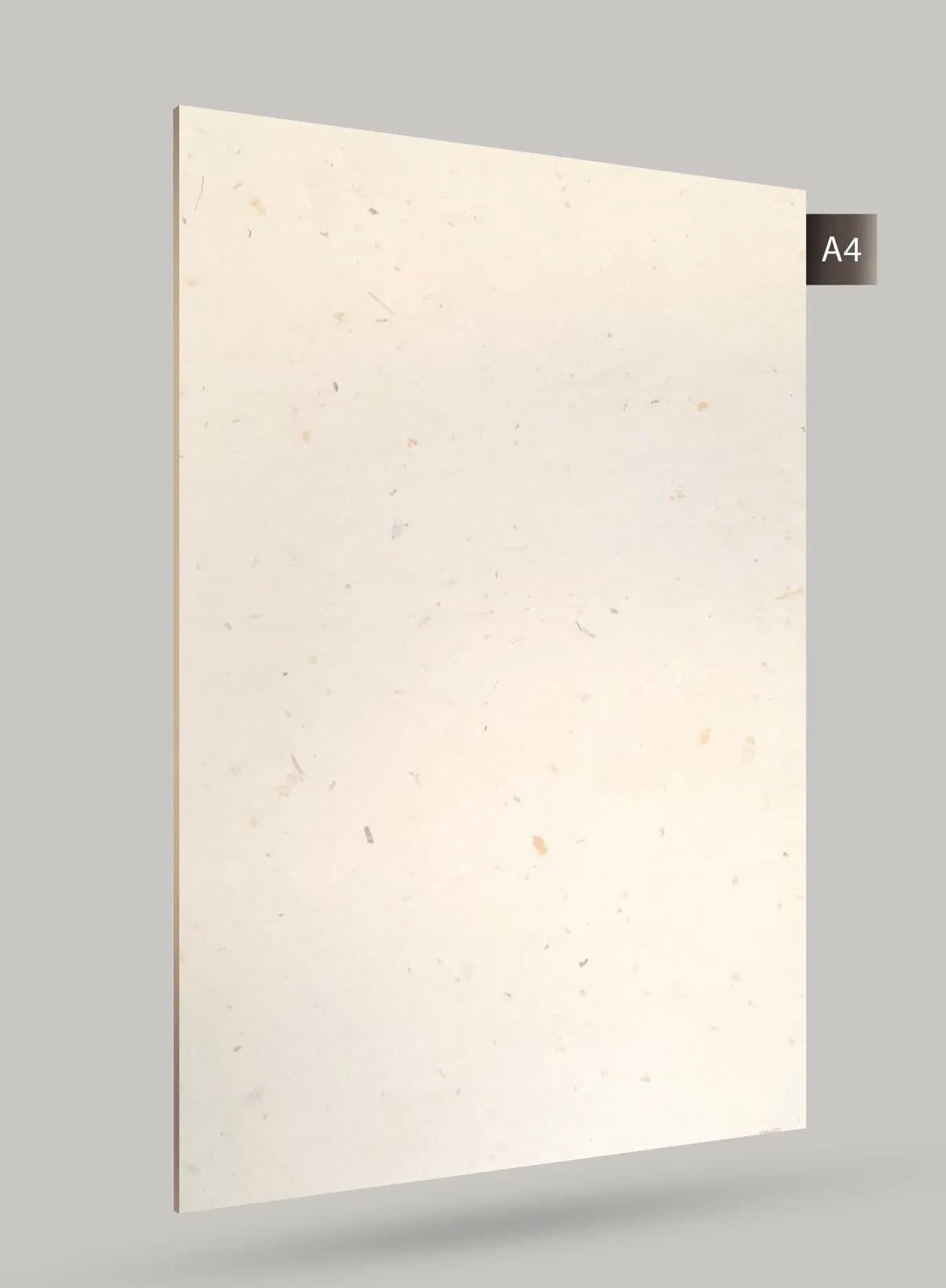 MATTY CRYSTAL Z+ 1295