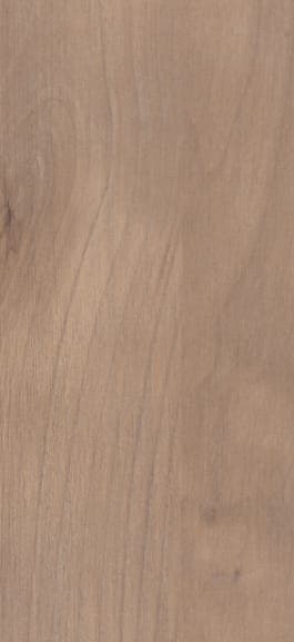 8349-ZW (Yellow Burst)