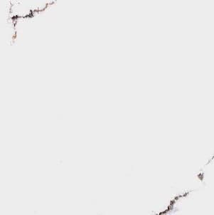 412 - CORE HG ( CARSON FIR )