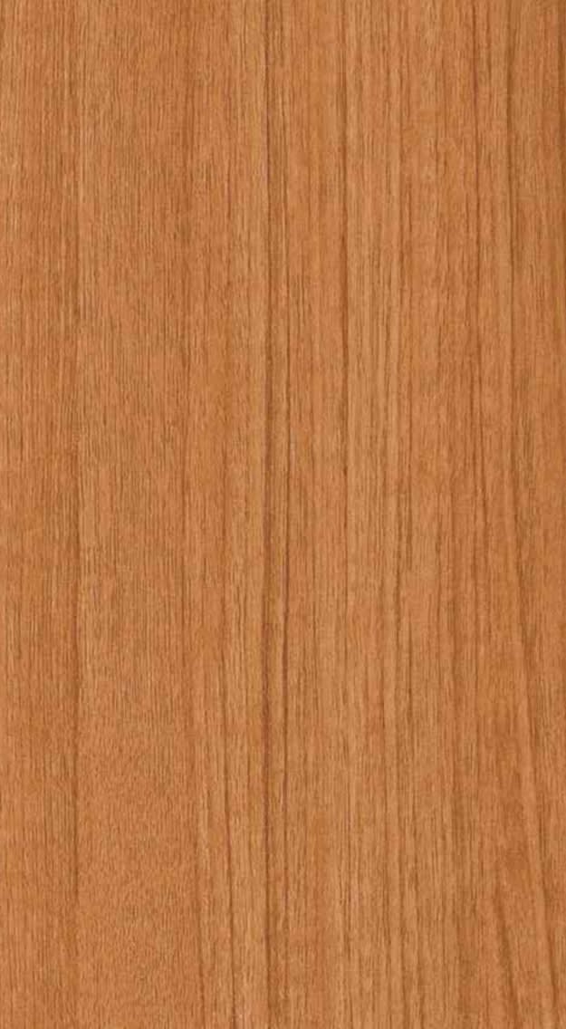 479-TL (SALAP TEAK )