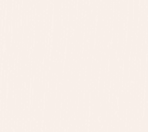 SMT 239 (IRISH CREAM)