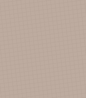 SMT 210 (THUNDER BEIGE)