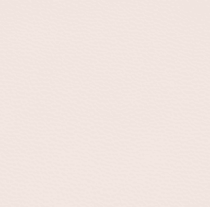 SMT 224 (WARM CREMA)