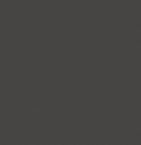 SMT 169 (SMOKE GREY)